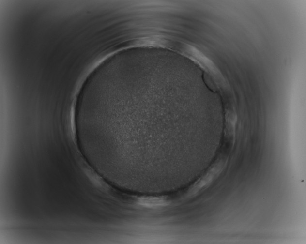 X0000089740788200707121506