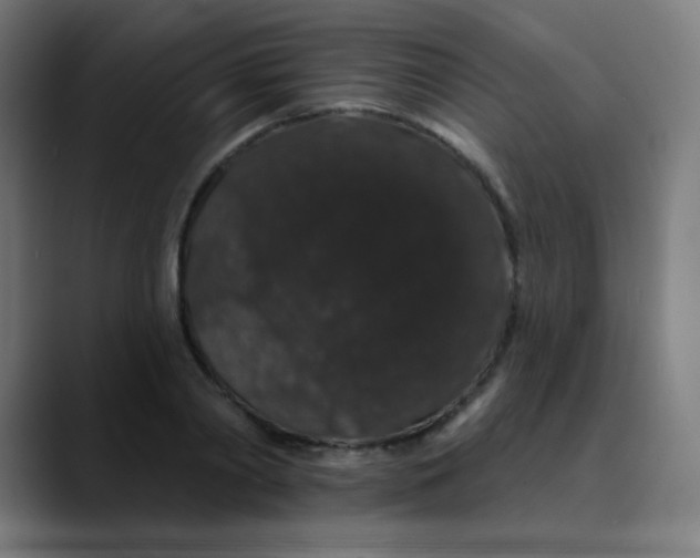 X0000089740790200707121506