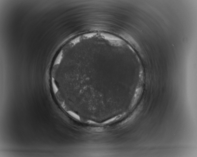 X0000089740798200707121506