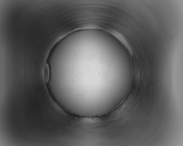 X0000089740805200707121506