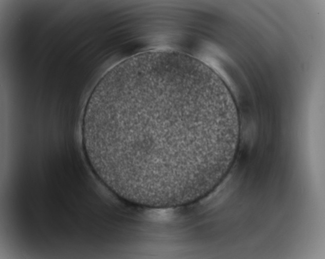 X0000089740810200707121506