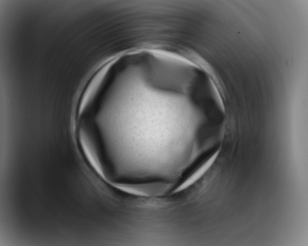 X0000089740811200707121506