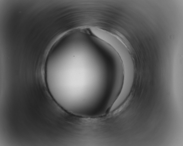 X0000089740812200707121506