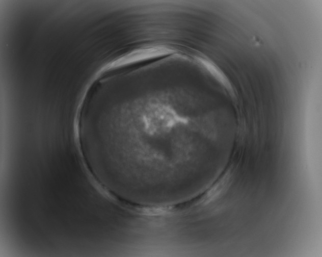 X0000089740813200707121506