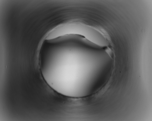 X0000089740816200707121506