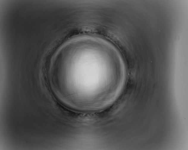 X0000089740817200707121505