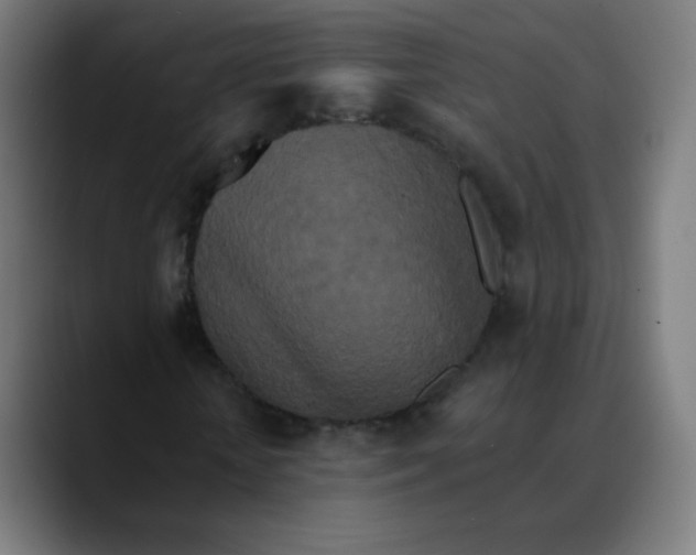 X0000089740818200707121505