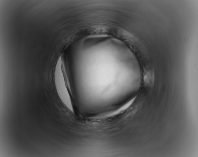 X0000089740819200707121505