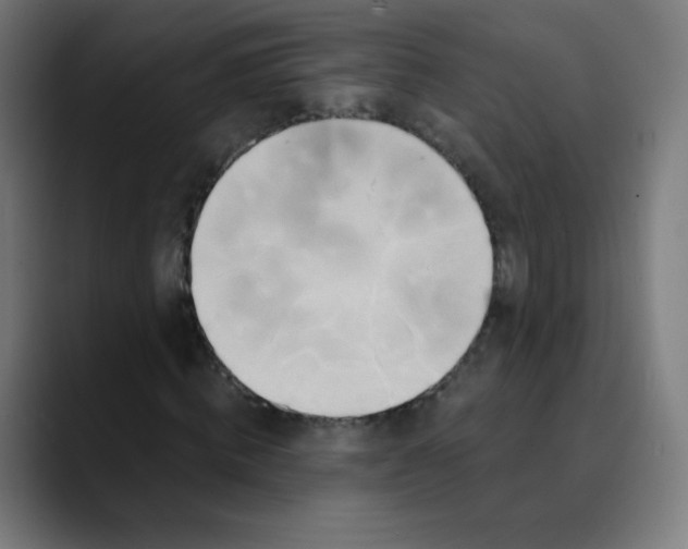 X0000089740820200707121505