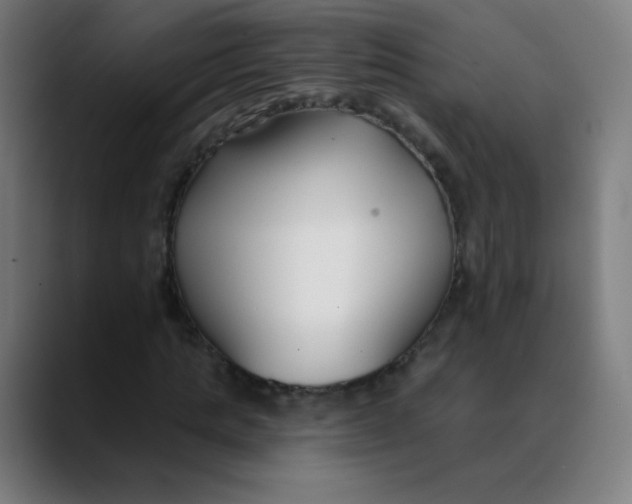 X0000089740821200707121505