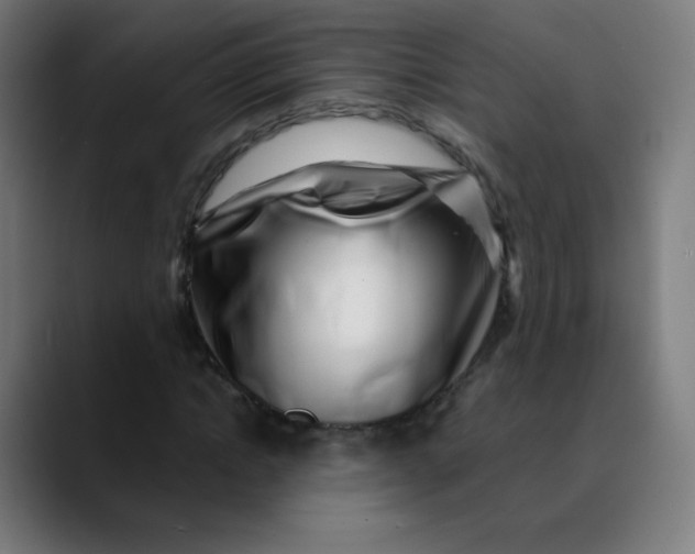 X0000089740822200707121505