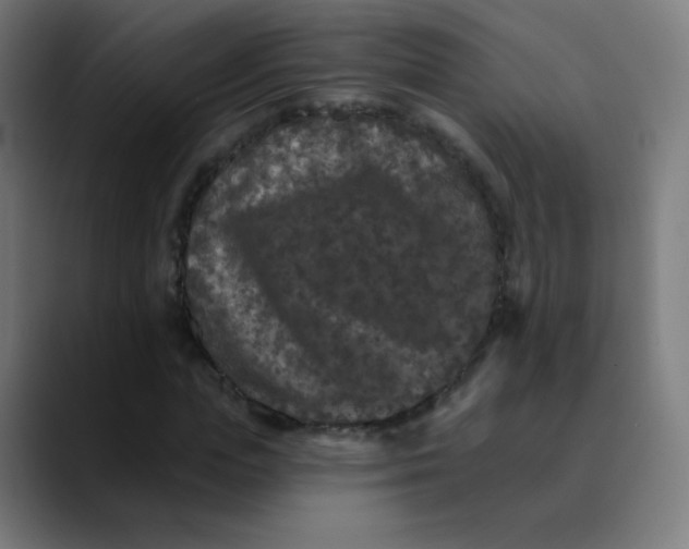 X0000089740823200707121505