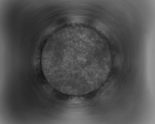 X0000089740824200707121505