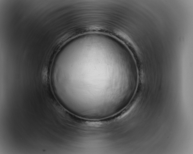 X0000089740825200707121505