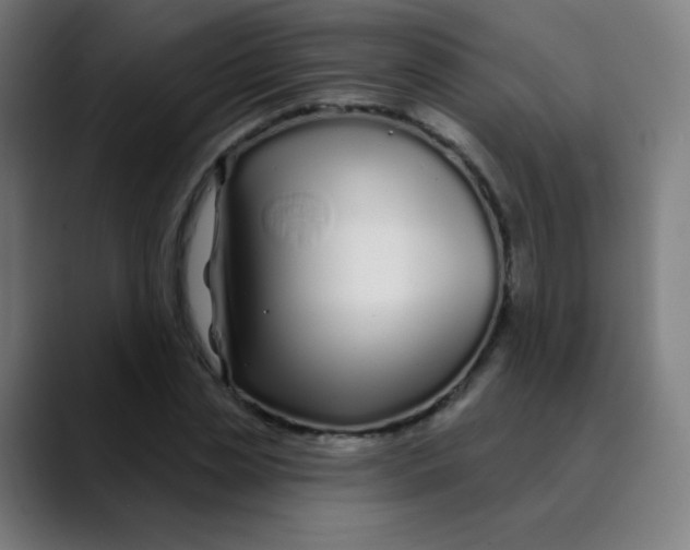 X0000089740829200707121506