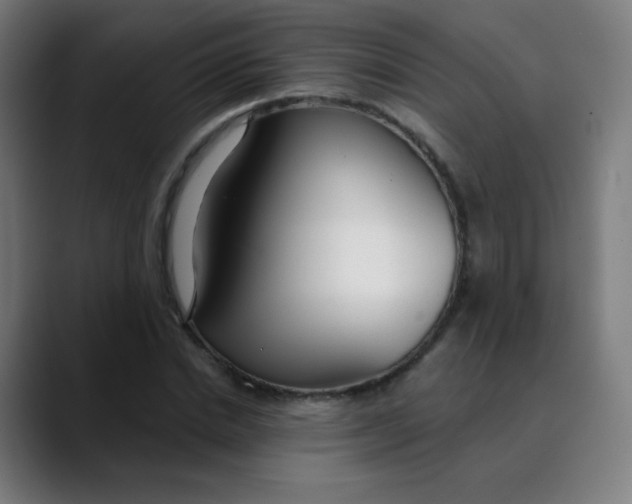 X0000089740830200707121506