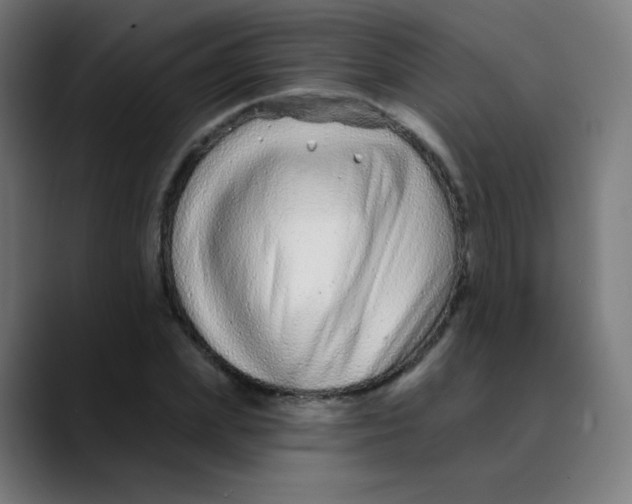 X0000089740831200707121506