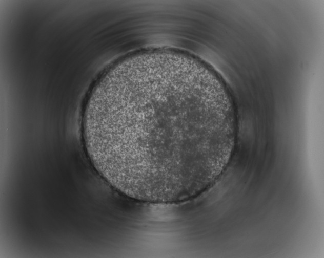 X0000089740832200707121506