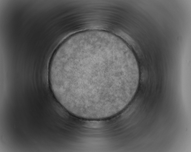 X0000089740836200707121506