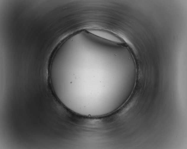 X0000089740837200707121506