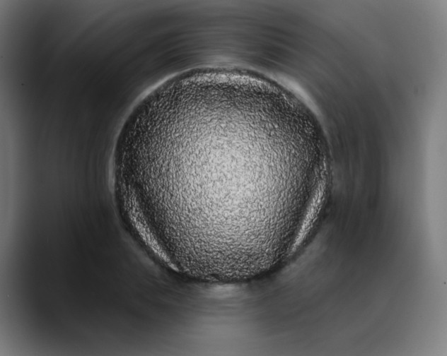 X0000089740839200707121506