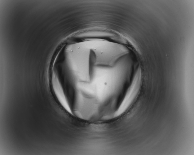 X0000089740840200707121506