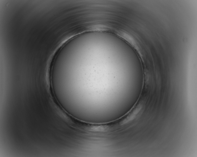 X0000089740843200707121506