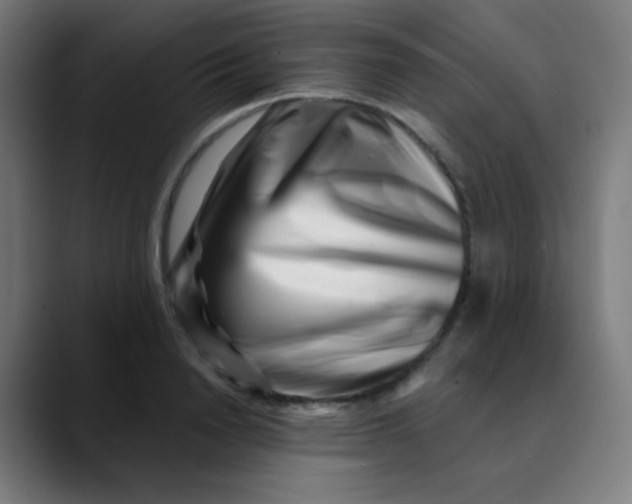 X0000089740846200707121506