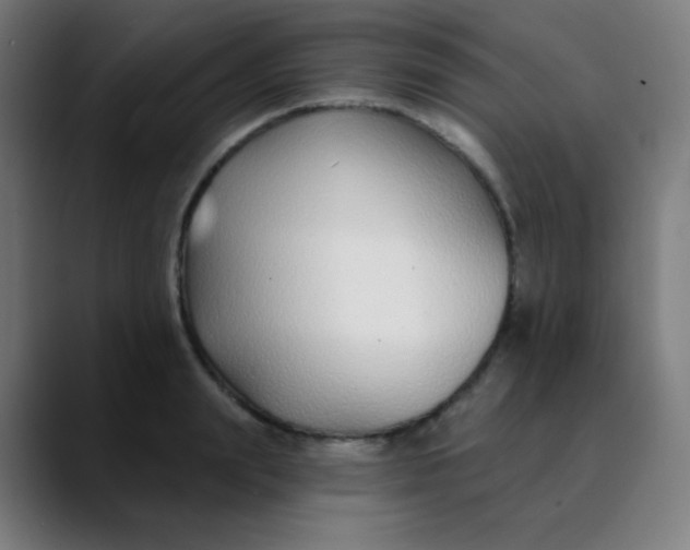 X0000089740847200707121506