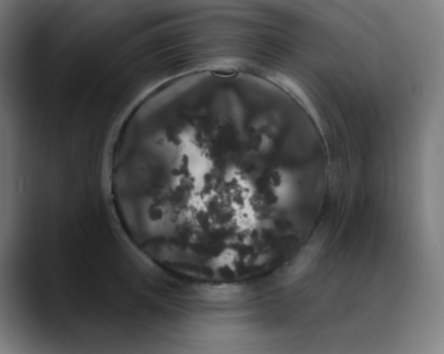 X0000089740851200707121506