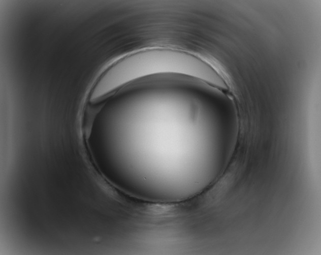 X0000089740854200707121506