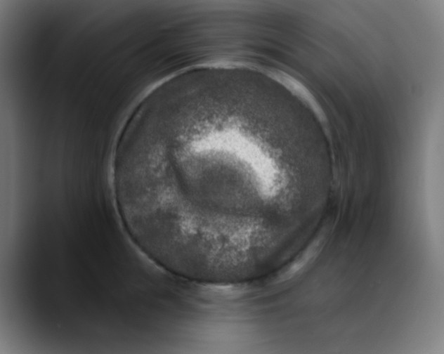 X0000089740855200707121506