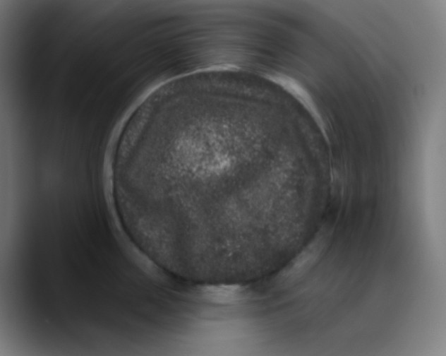 X0000089740859200707121506