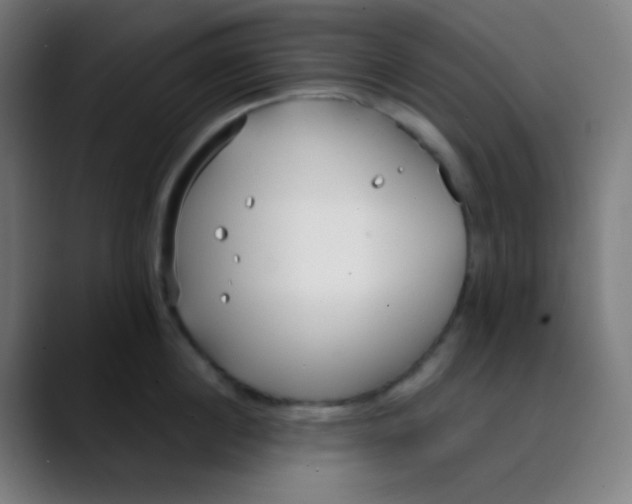 X0000089740860200707121506