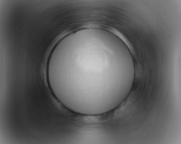 X0000089740861200707121506