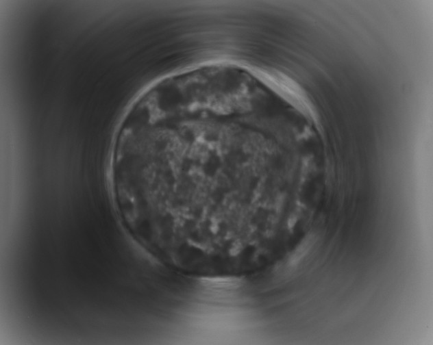 X0000089740863200707121506