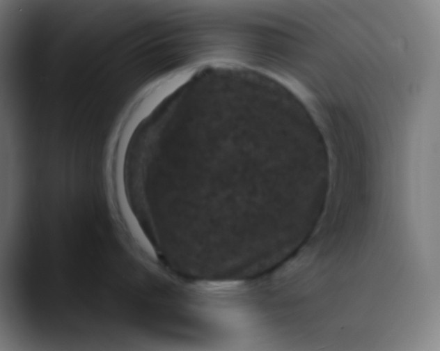 X0000089740864200707121506