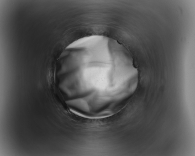 X0000089740866200707121505