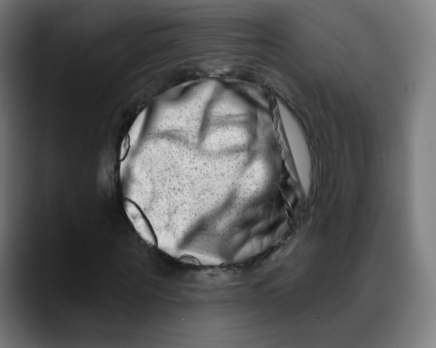 X0000089740867200707121505