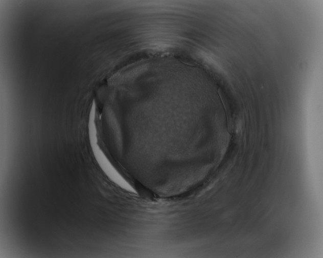 X0000089740868200707121505