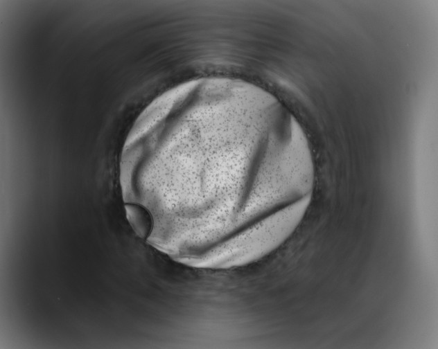 X0000089740870200707121505