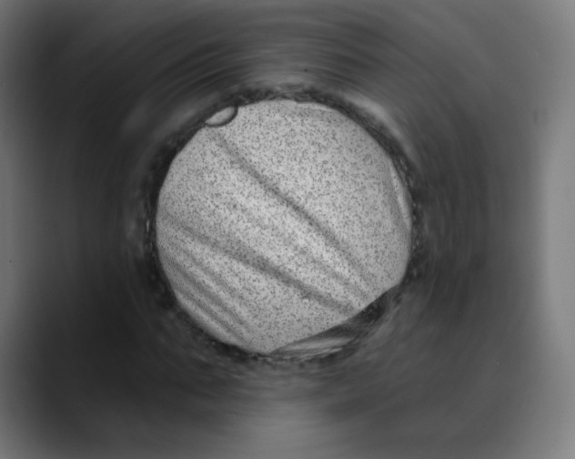 X0000089740871200707121505