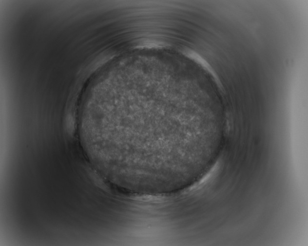 X0000089740874200707121505