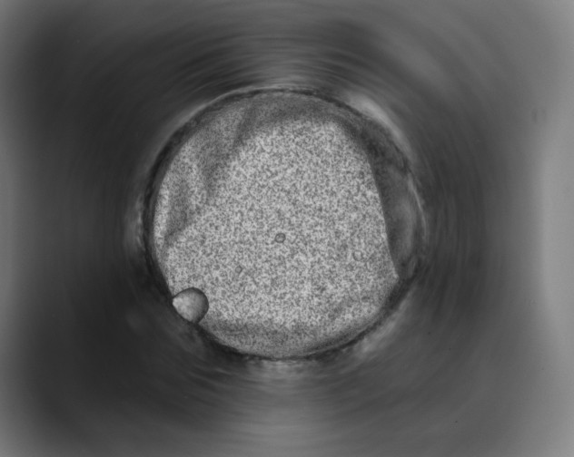 X0000089740875200707121505