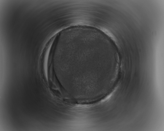 X0000089740877200707121505