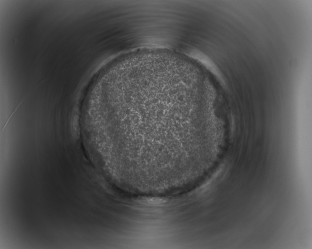 X0000089740878200707121505