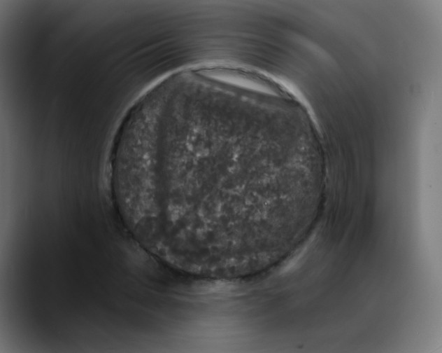 X0000089740879200707121505