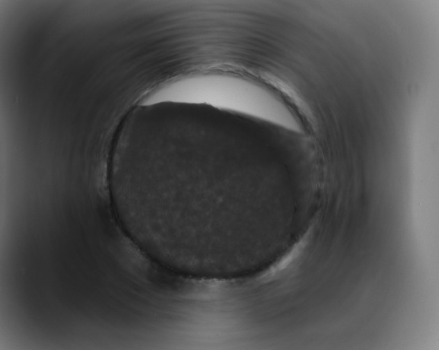 X0000089740881200707121505