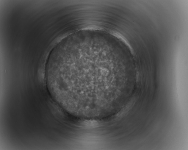 X0000089740882200707121505