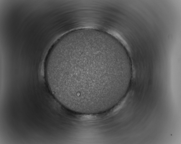 X0000089740883200707121505